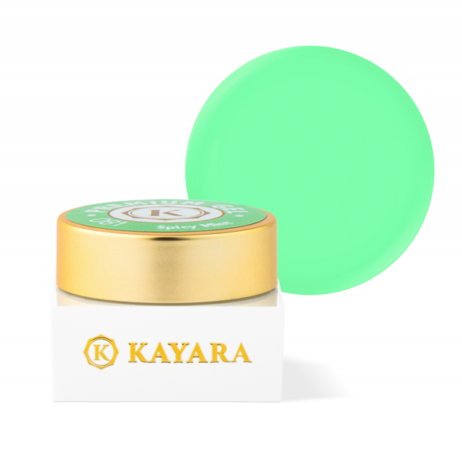 GEL COLOR KAYARA PREMIUM 5G - 081