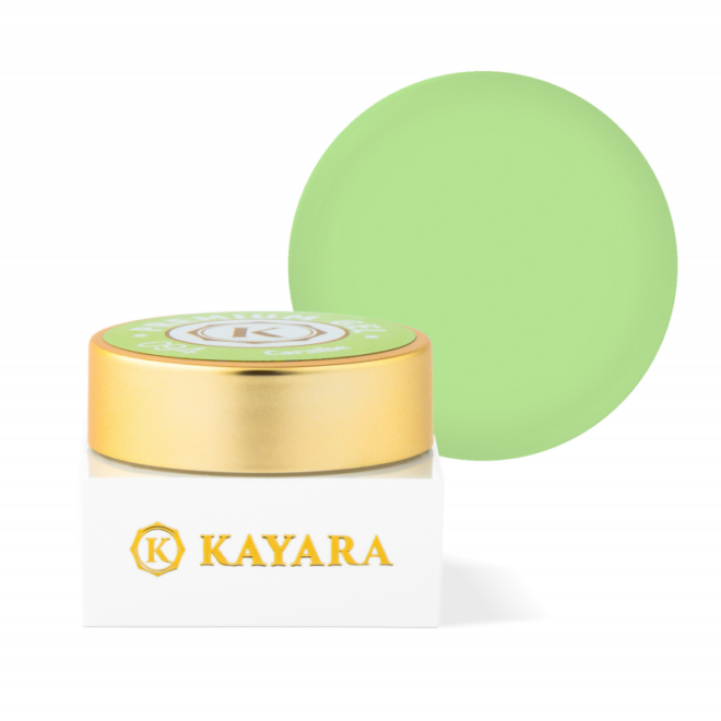 GEL COLOR KAYARA PREMIUM 5G - 094