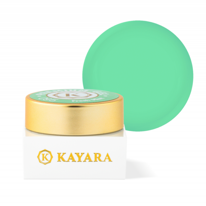GEL COLOR KAYARA PREMIUM 5G - 095