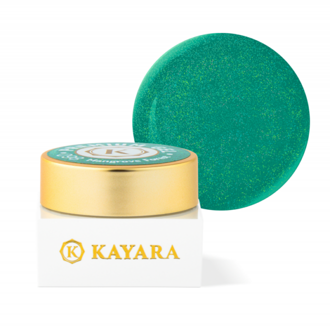 GEL COLOR KAYARA PREMIUM 5G - 098