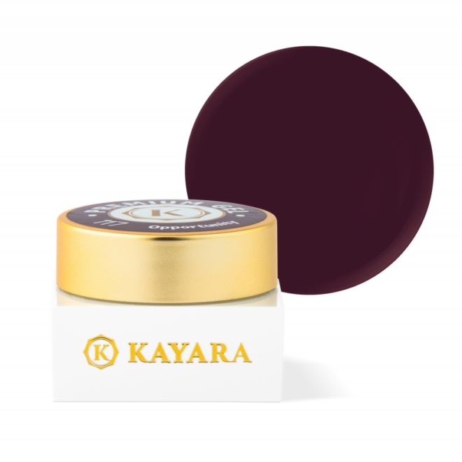 GEL COLOR KAYARA PREMIUM 5G - 117