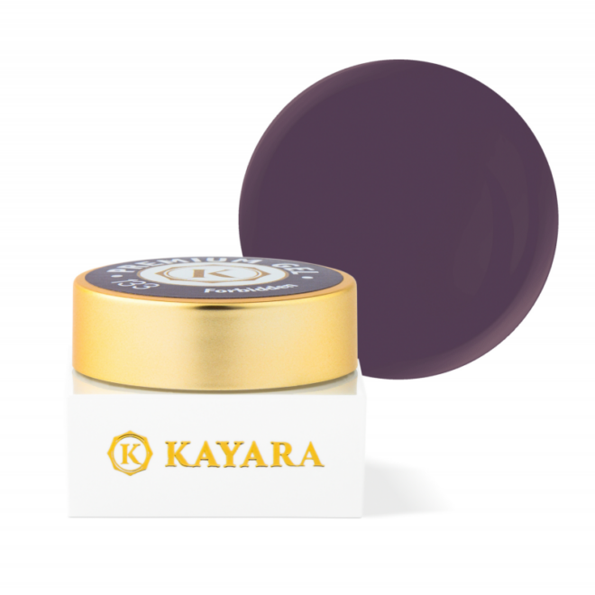 GEL COLOR KAYARA PREMIUM 5G - 133